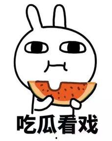 娱乐吃瓜君团团